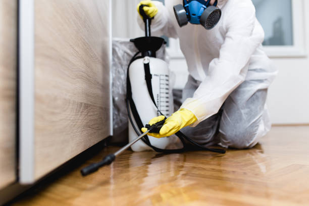 Best Flea Control Services  in Chester, VA