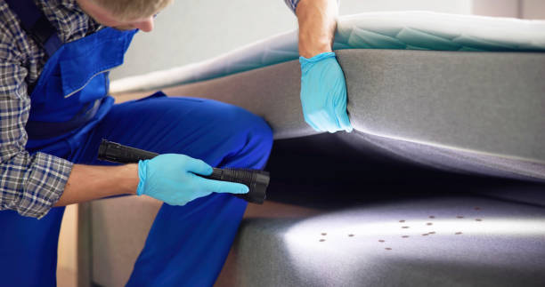 Best Exterminator Services  in Chester, VA