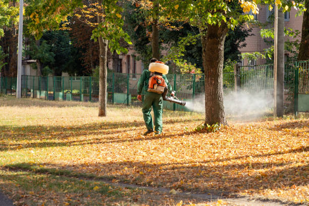 Best Insect Control  in Chester, VA