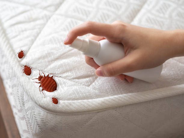 Best Bed Bug Extermination  in Chester, VA