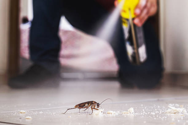 Best Affordable Pest Control Services  in Chester, VA