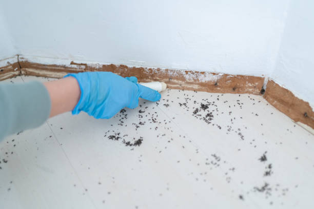 Best Pest Prevention Services  in Chester, VA