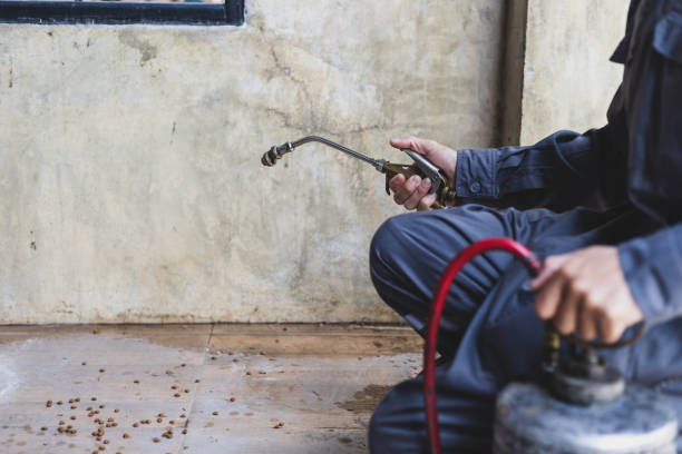 Best Commercial Pest Control Services  in Chester, VA