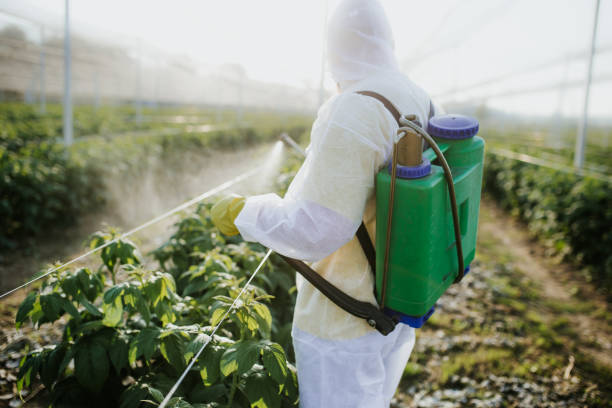 Flea Control Services in Chester, VA